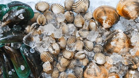 What The Updated Approach For Shellfish Harvesting Areas Means For
