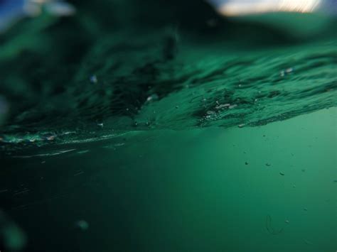 Free Images Sea Water Ocean Sunlight Wave Underwater Green