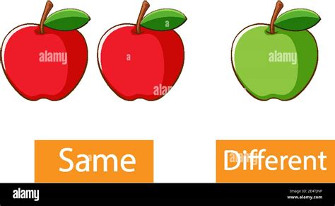 Opposite Adjectives Words With Same And Different Illustration Stock