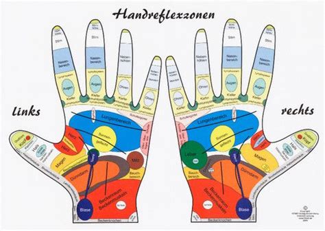 Handreflexzonen Menschlicher Körper Anatomie Lernen Menschlicher Körper