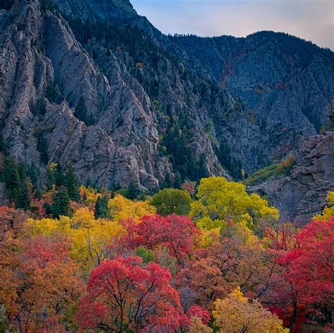 Top 8 Easy Big Cottonwood Canyon Hikes The Minivan Bucket List