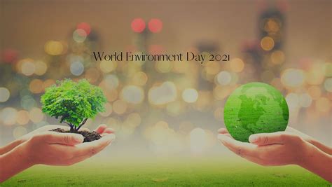 World Environment Day 5th June 2021 — Retired No One Told Me