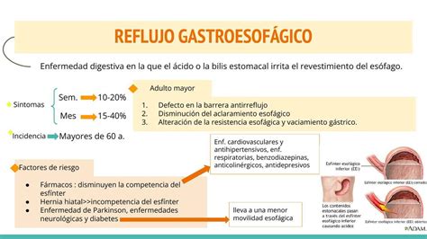 Reflujo Gastroesof Gico En El Anciano Middlemedic Udocz