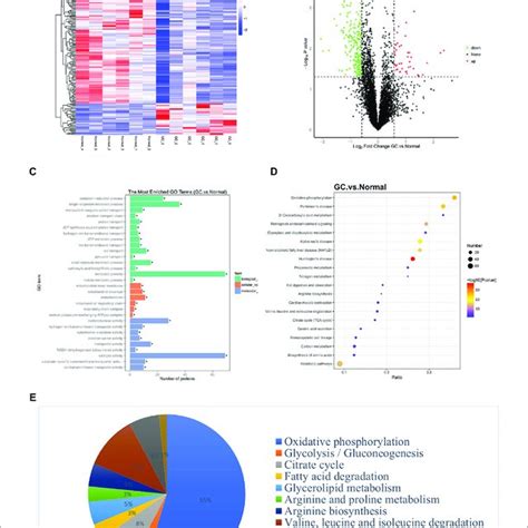 Identification Of Genes Related To Metabolic Pathways Through