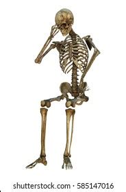 D Rendering Human Skeleton Isolated On Stock Illustration