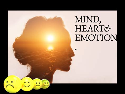 Mind Heart And Emotion Ladys N Defense