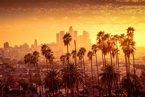 Beautiful Sunset Of Los Angeles Downtown Skyline And Palm Trees In