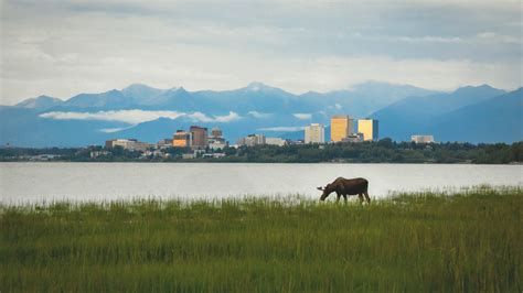 Best Colleges In Alaska Find The Top Universities In Ak