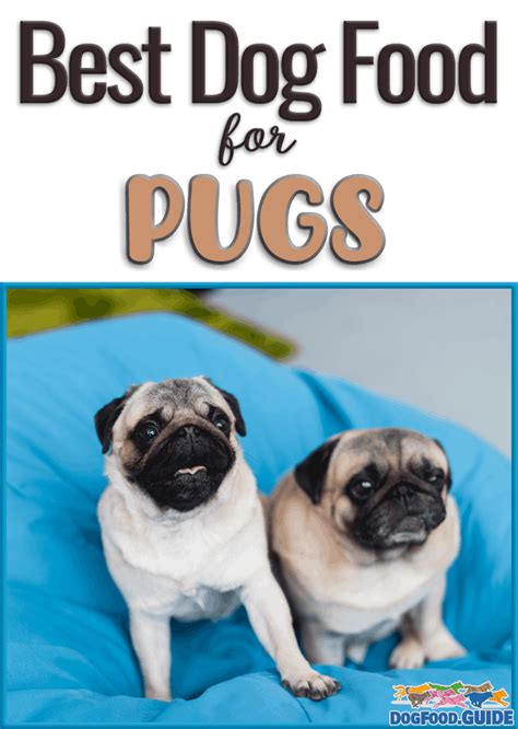 Top 10 Healthiest And Best Dog Food For Pugs In Revealed