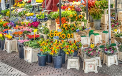 Flower Markets In London 9 Of The Best To Get Your Bloom On