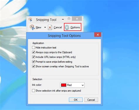 Steps To Use Snipping Tool In Windows 8 8 1