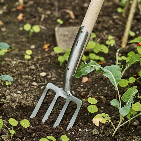 The Kinds Of Gardening Tools You Must Have Thegardengranny