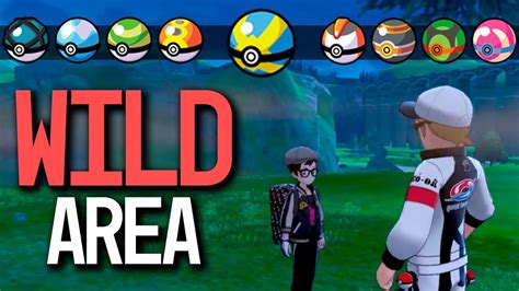 HOW TO GET ALL Poke Ball Types in Wild Area in Pokémon Sword and Shield YouTube