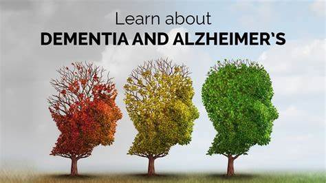 5 Ways To Keep Dementia And Alzheimer's Disease At Bay
