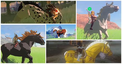 Zelda Tears Of The Kingdom Special Horses All Unique Horse Locations
