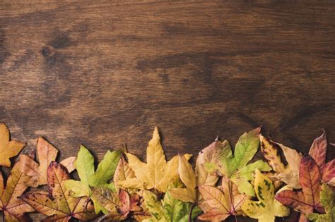 Flat Lay Autumn Leaves On Wood Background Photo Free