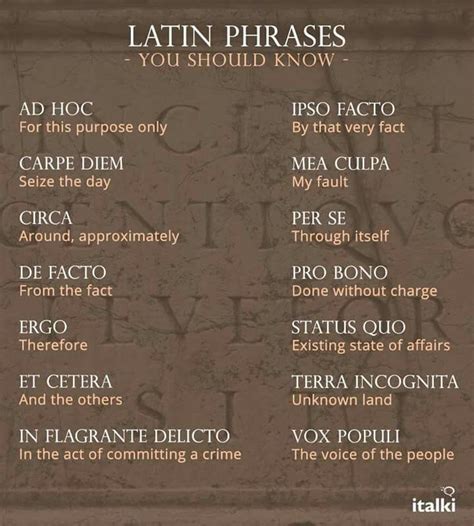 Latin Phrases Latin Phrases Latin Quotes Latin Words