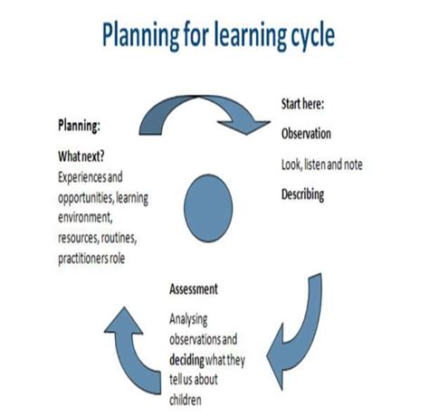 Observation Assessment And Planning Cycle In Childcare Course Scholar