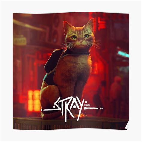 Stray Poster For Sale By Lookaz Redbubble