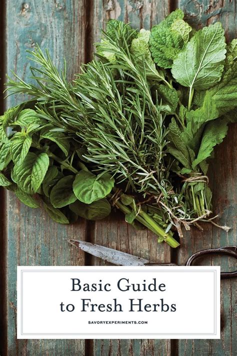 Basic Guide To Fresh Herbs Herbs Drying Herbs Fresh Herbs