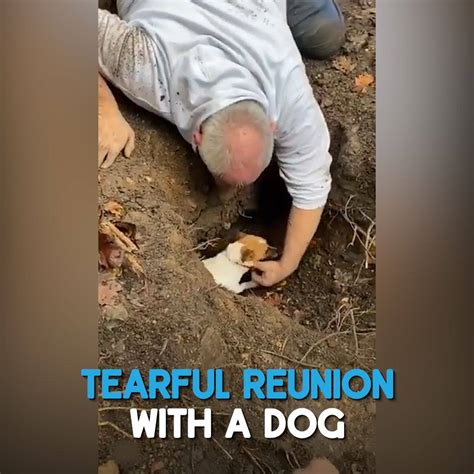 Rescuing A Trapped Dog So Glad They Saved That Adorable Puppy By Jwoww