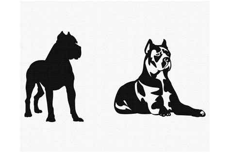 Cane Corso Dog Breed Svg Graphic By Crafteroks · Creative Fabrica