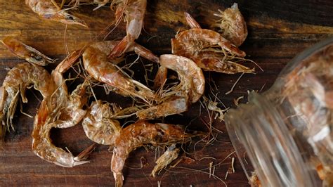 Dried Shrimp Recipe — Elevated Wild