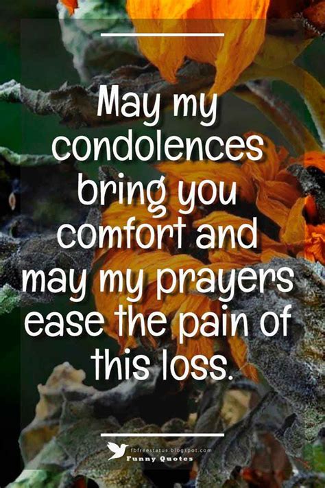 May My Condolences Bring You Comfort And May My Prayers Ease The Pain Of This Loss Kondolenz