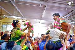 Brahmin Connoisseurs Corner Unveiling The Jewels Of Handbag Art