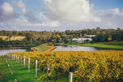 14 Of The Best Wineries Around Margaret River River Winery Things