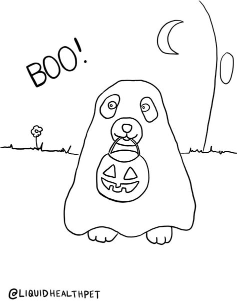 Halloween Pet Coloring Pages | Liquid Health™ Pets