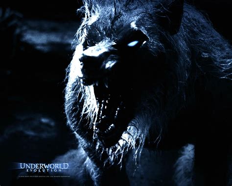 Underworld Action Fantasy Vampire Dark Gothic Warrior Poster Wallpaper