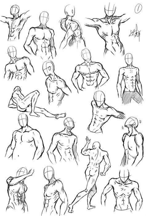 Male Body Poses Sketch Male Body Proportions Drawing Bodegawasues