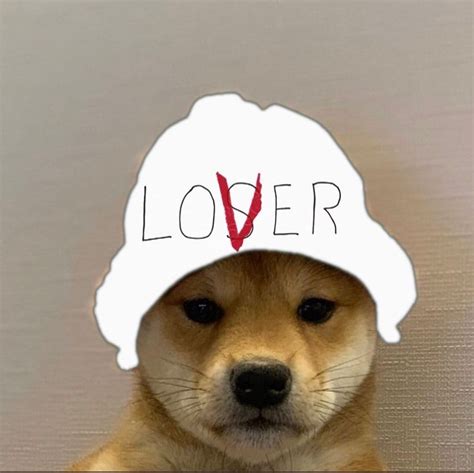 Elijah Lawes On Instagram “dogwifhatgang” Мемы смешных собак