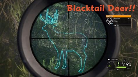 Blacktail Deer Thehunter Call Of The Wild Youtube