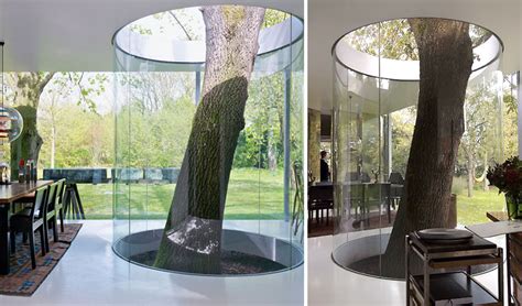 12 Green Tree Houses Built Around The Trees Without Cutting Them