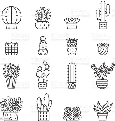 Clipart transparent black and white clipart ruler clipart christmas ornament clipart god clipart santa hat clipart outline sound waves clipart halloween costume clipart cute halloween clipart minions clipart. Succulents And Cacti Outline Vector Icons Set Minimalistic ...