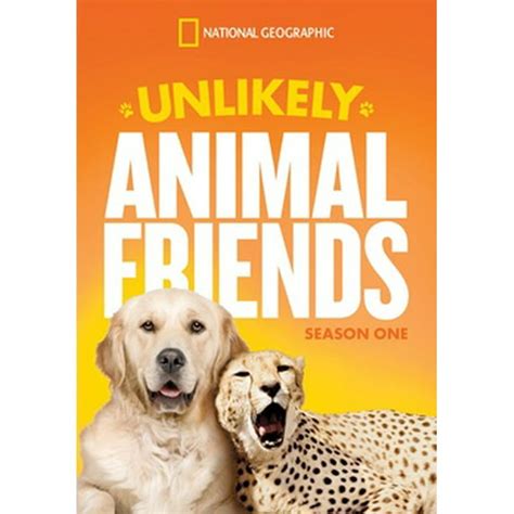 National Geographic Unlikely Animal Friends Dvd