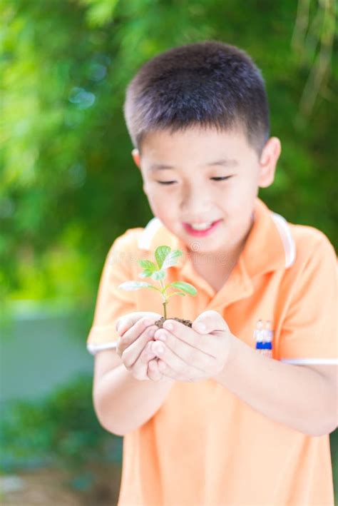 Asian Child Holding Young Seedling Plant In Hands In Garden On Stock