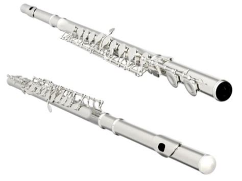 Discover The 11 Different Types Of Flutes Around The World