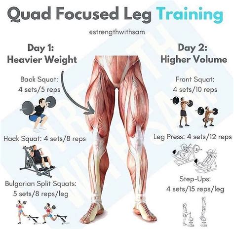 Quad Focused Leg Training With Images Leg Training Leg Day Workouts Lower Body Workout