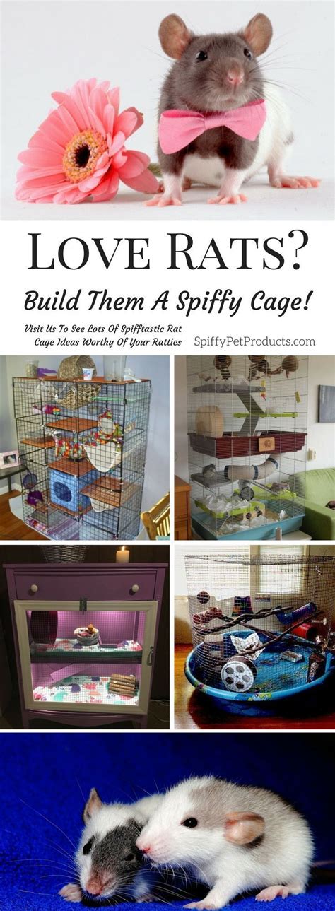 7 Pet Rat Cage Ideas You Have Got To See To Believe Pet Rat Cages
