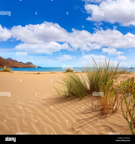 Almeria Playa De Los Genoveses Beach Dunes In Cabo De Gata Spain Stock Photo Royalty Free Image