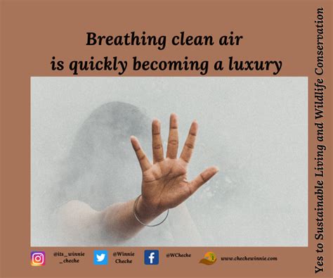 Breathing Clean Air Is Quickly Becoming A Luxury The Eco Advocate
