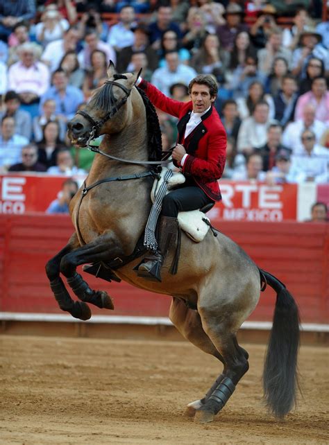Pablo Hermoso De Mendoza Horses Beautiful Horses Magnificent Beasts