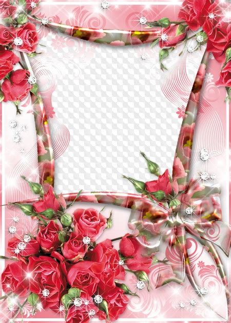 Beautiful Frame Pink Roses Rose Time Free Photo Frame Psd Free
