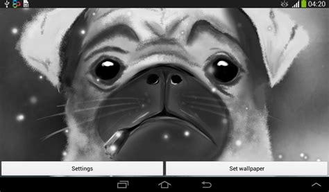 Dog Live Wallpaper Free Android Live Wallpaper Download Appraw