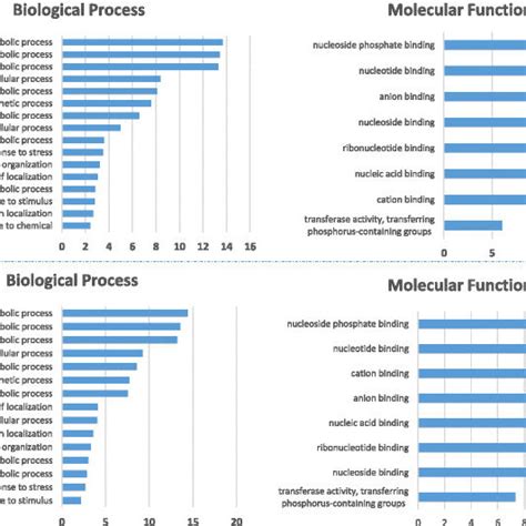 Bar Charts Representing Biological Processes And Molecular Function