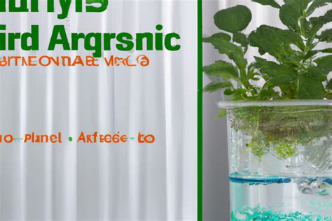 Getting Started With Diy Hydroponics A Beginners Guide Hydrogroove