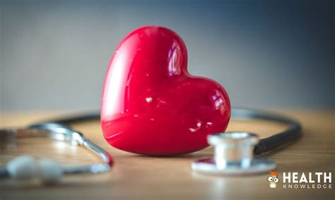Understanding Heart Health The Basics Of Cardiovascular Function Get